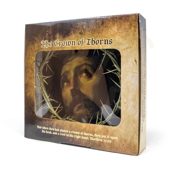 Crown of Thorns - 9"D