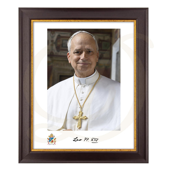 Pope Leo XIV - Framed Print