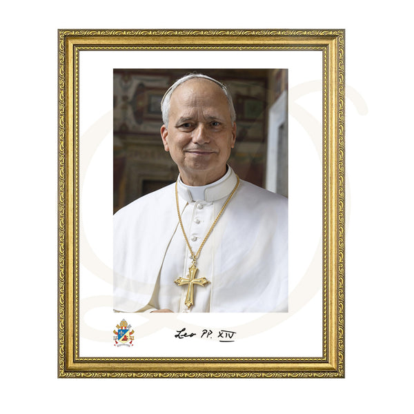 Pope Leo XIV - Framed Print