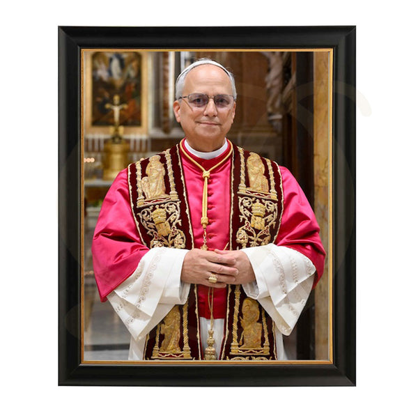 Pope Leo XIV - Framed Print