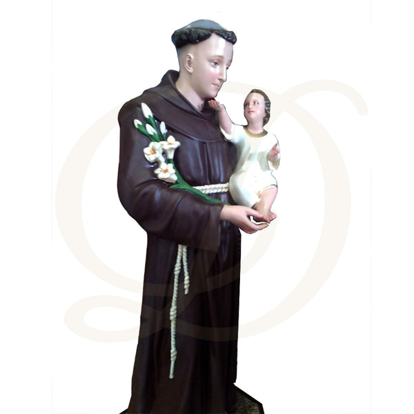 51"H St. Anthony
