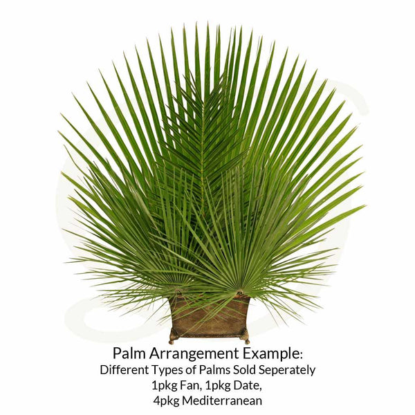Date Palm Decor 4/PKG