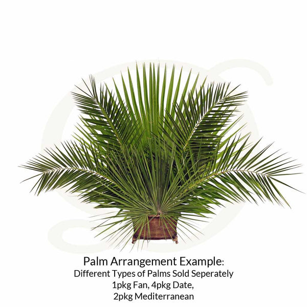 Date Palm Decor 4/PKG