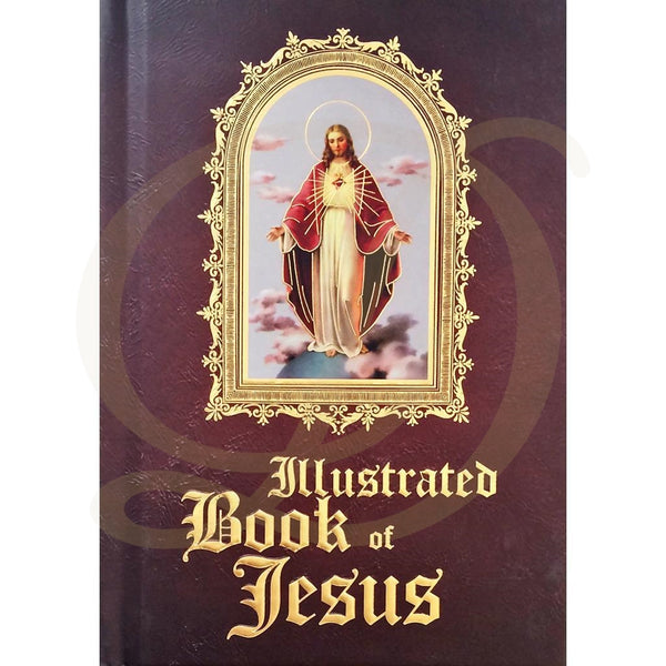 DiCarlo Item 1849 Illustrated Book of Jesus